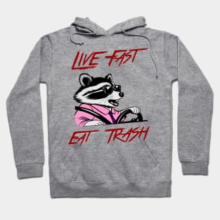 Live Fast Eat Trash Raccoon Meme Quote Hoodie